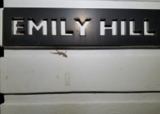 A gecko named Emily
